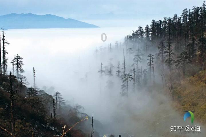 河南大学生扮锦衣卫迎客返乡被批“没文化”,官方回应:将核实了解