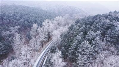 C罗、梅西谁更强？朴智星：世界杯冠军给出答案了